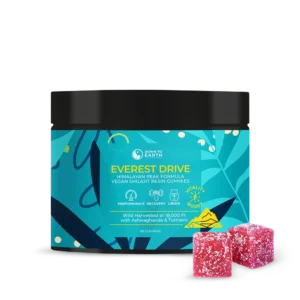 Everest Drive Shilajit Gummies